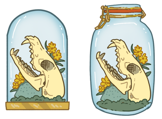 Jar or Cloche?