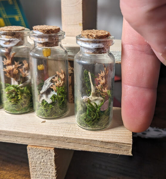 Finger for scale