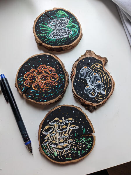 Various PNW mushrooms